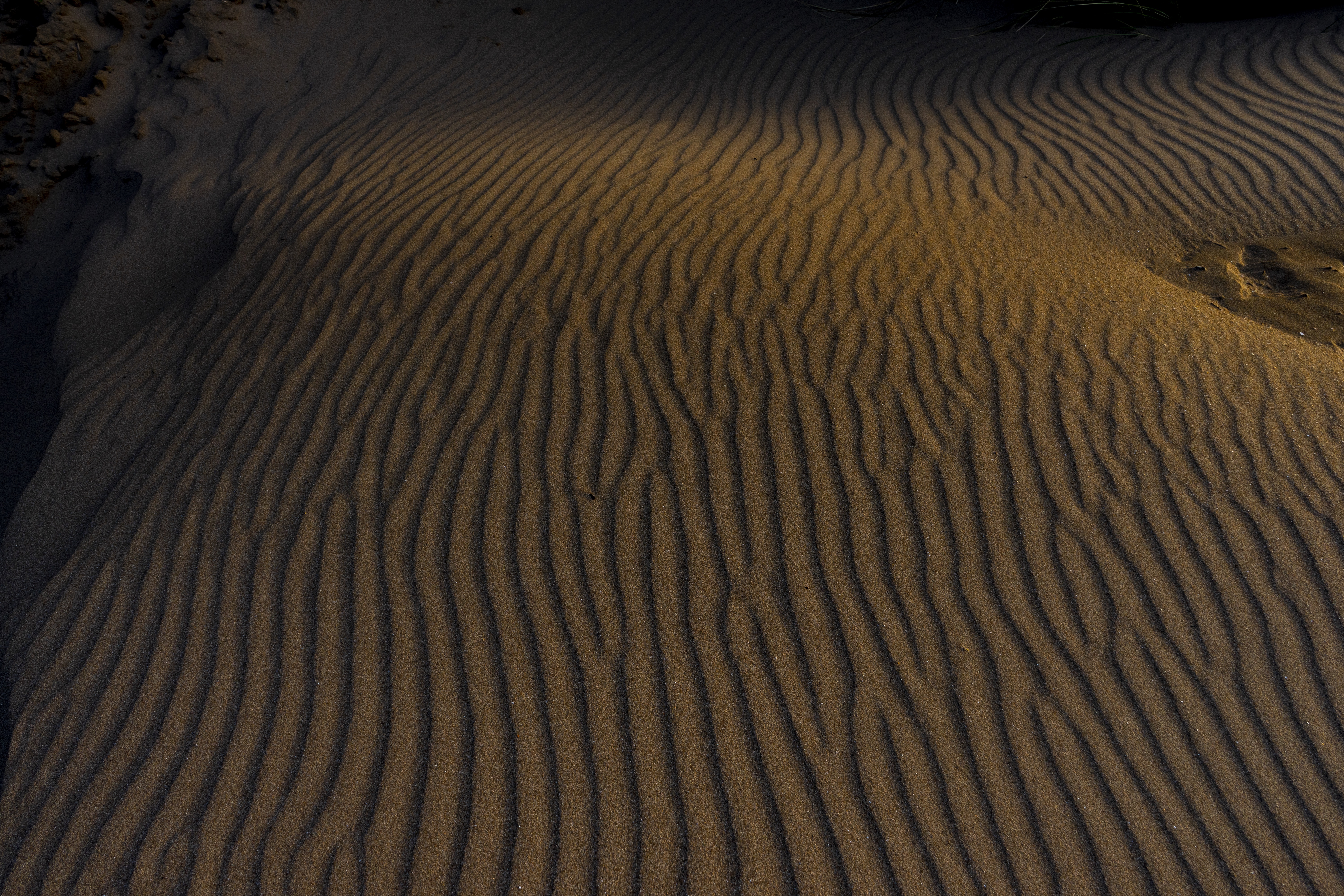 Sand ripples texture