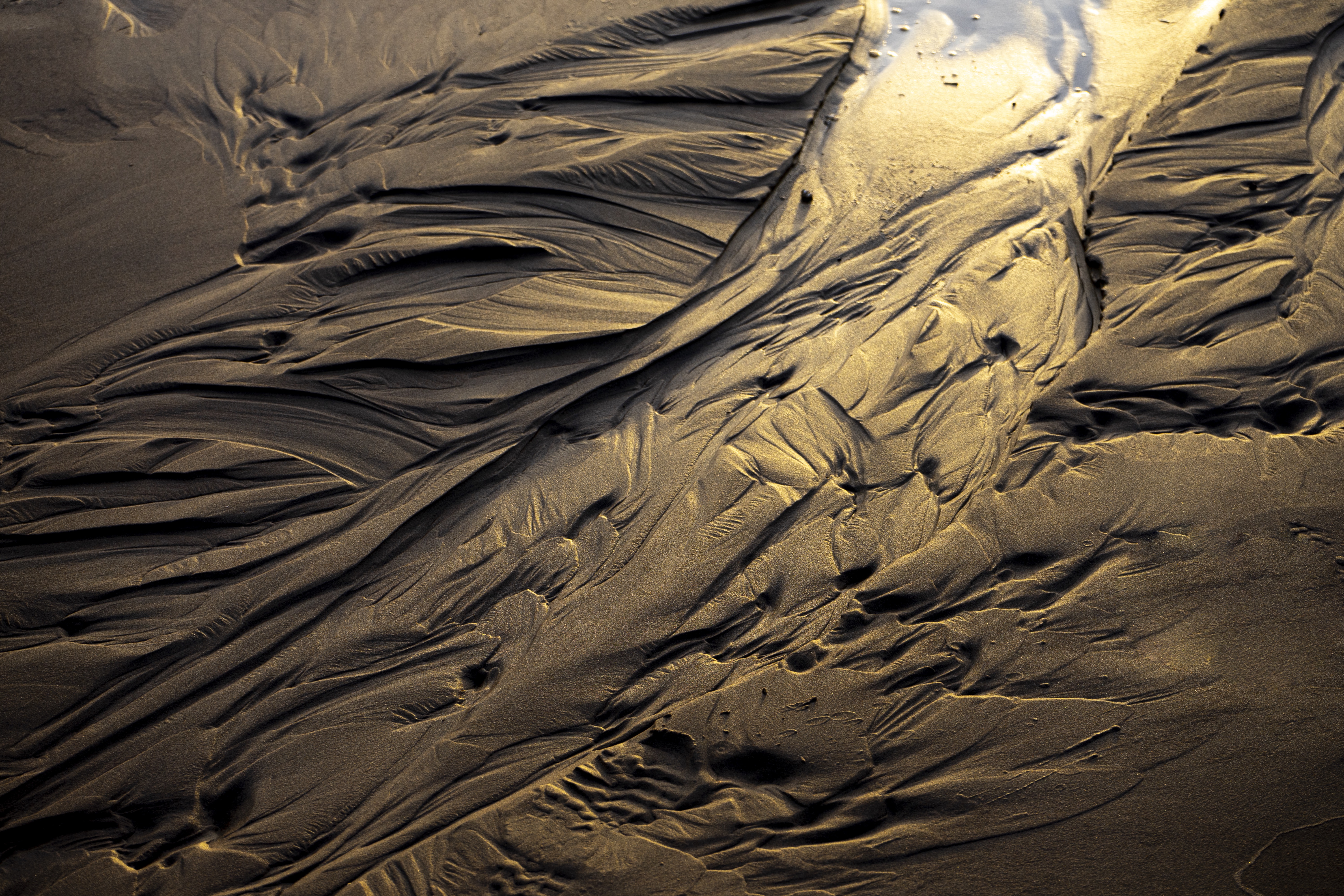 Beach texture detail